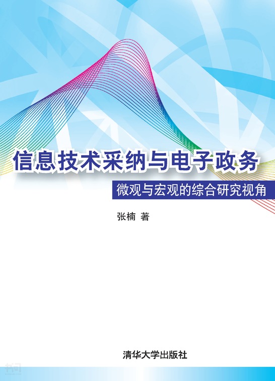 《信息技术采纳与电子政务 微观与宏观的综合研究视角》第 186 页