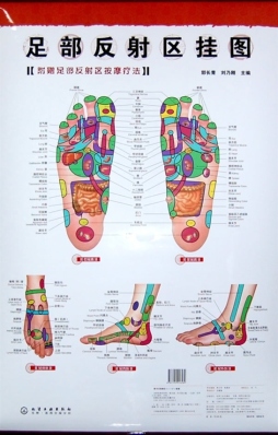 《足部反射区挂图(附足部反射区按摩疗法)》