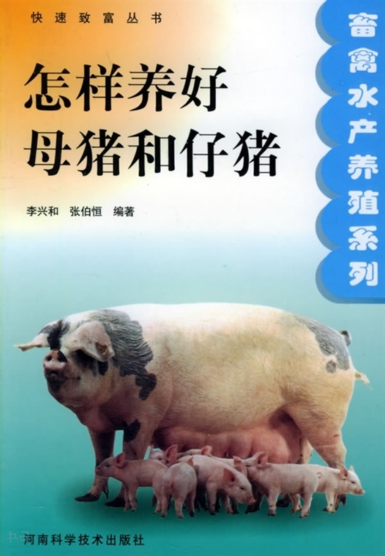 母猪产后护理封面图片